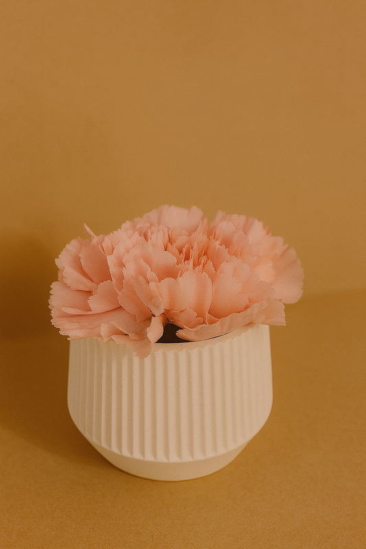 Kleine Pflanzentöpfe aus Keramik