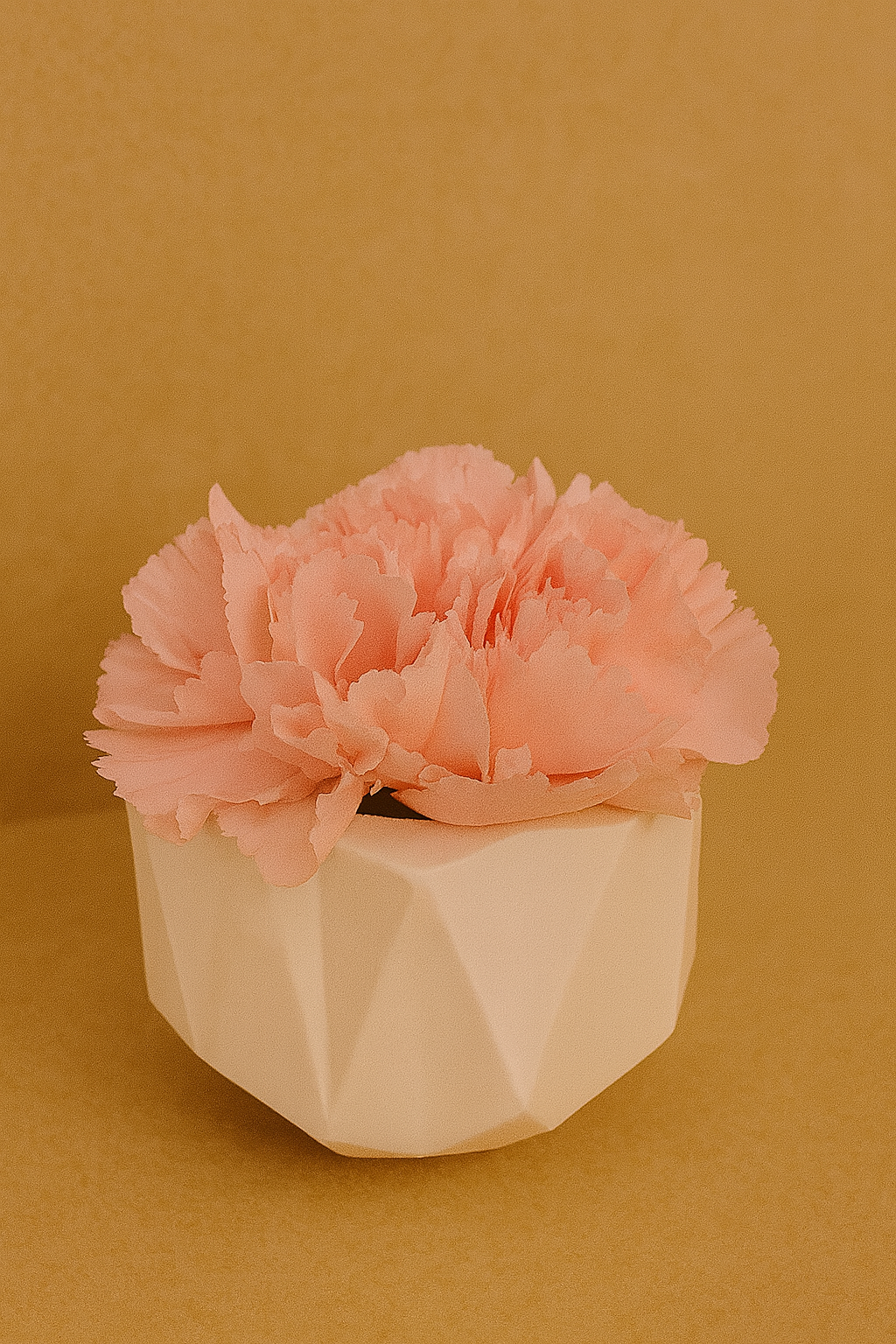 Kleine Pflanzentöpfe aus Keramik