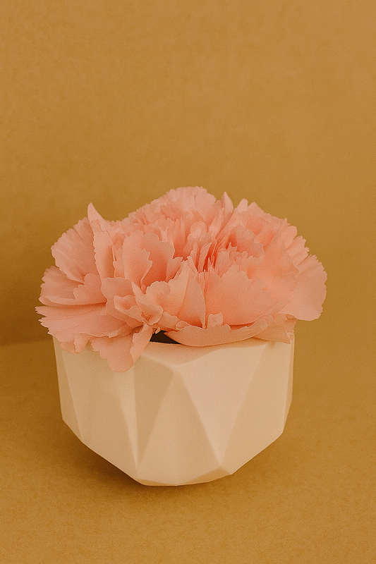 Kleine Pflanzentöpfe aus Keramik